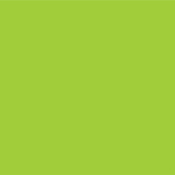 Jacquard Dye-Na-Flow Paints 66.5ml