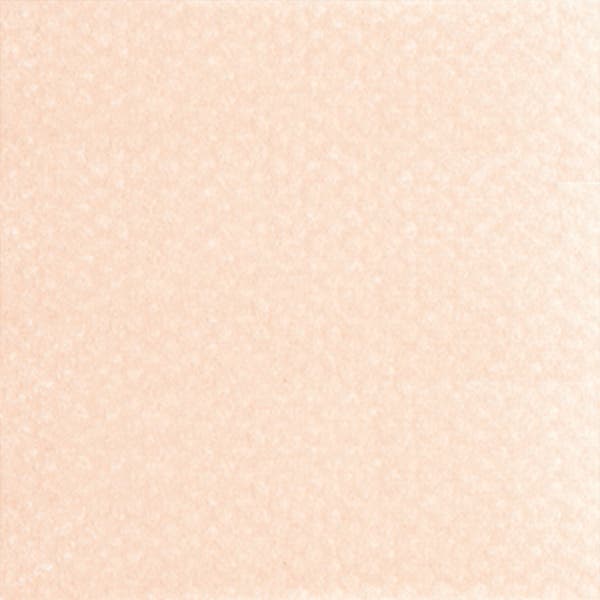 PanPastel Ultra Soft Artist Pastels 9g