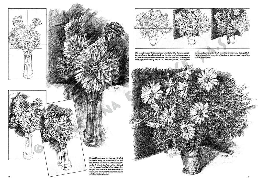 Leonardo Collection: 21 Flowers Books