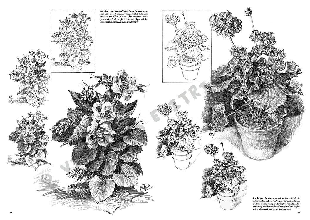 Leonardo Collection: 21 Flowers Books