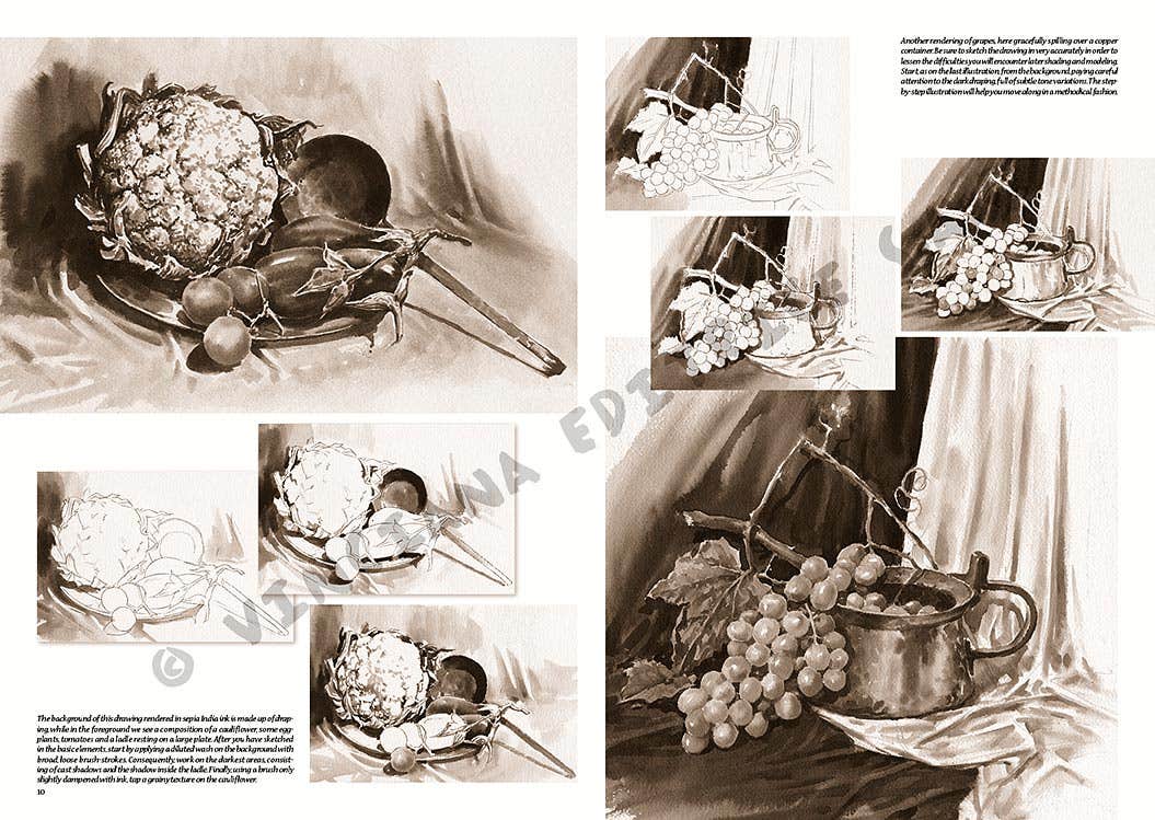 Leonardo Collection: 26 Still Life Book