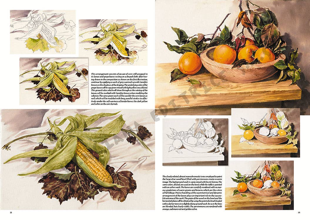 Leonardo Collection: 26 Still Life Book