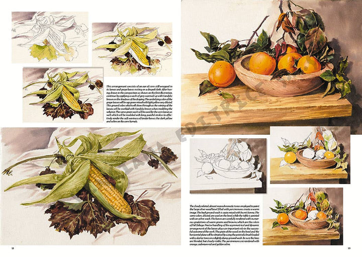 Leonardo Collection: 26 Still Life Book