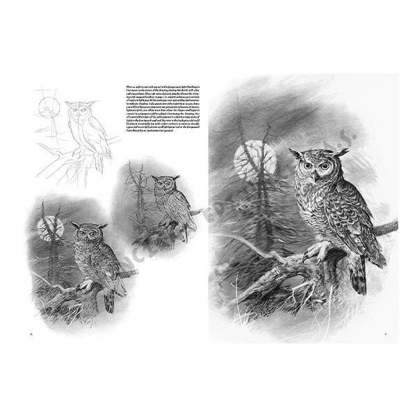 Leonardo Collection: 28 Bird Book