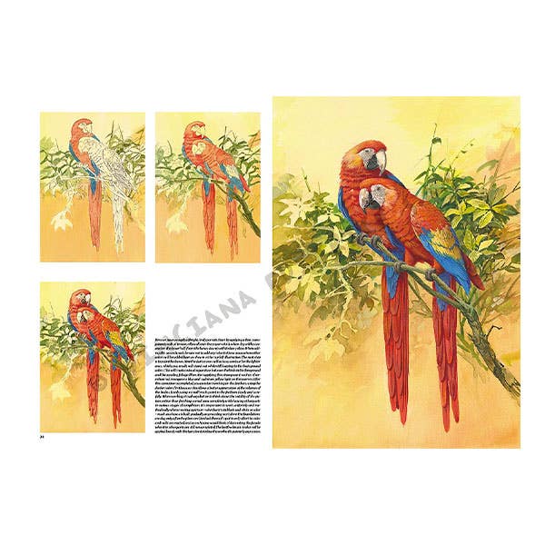 Leonardo Collection: 28 Bird Book