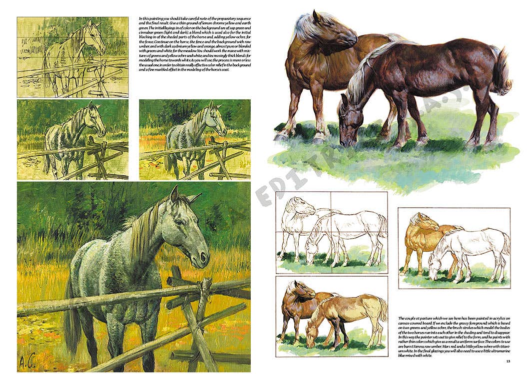 Leonardo Collection: 06 Horse Book