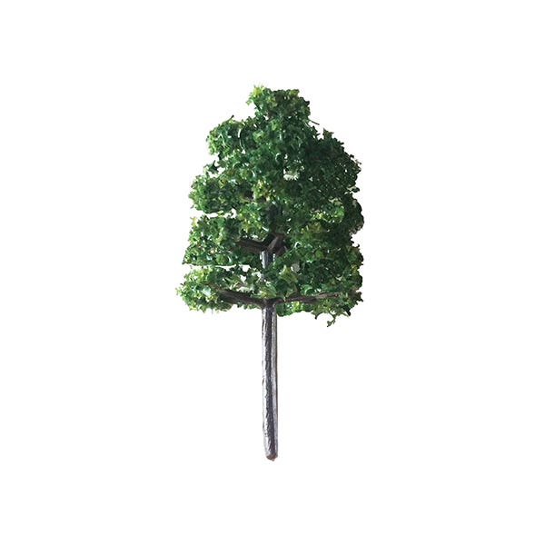 Scale Model Trees