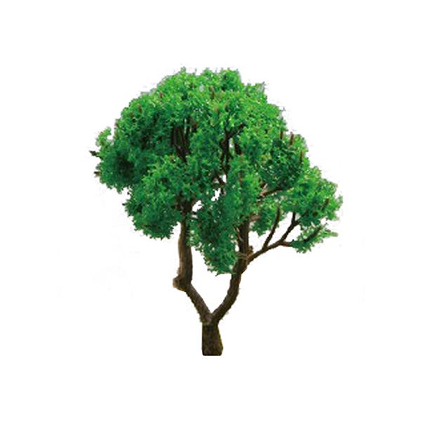 Scale Model Trees