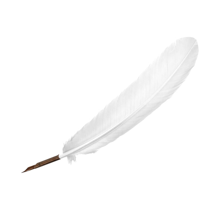 Manuscript Quill Pen Ivory
