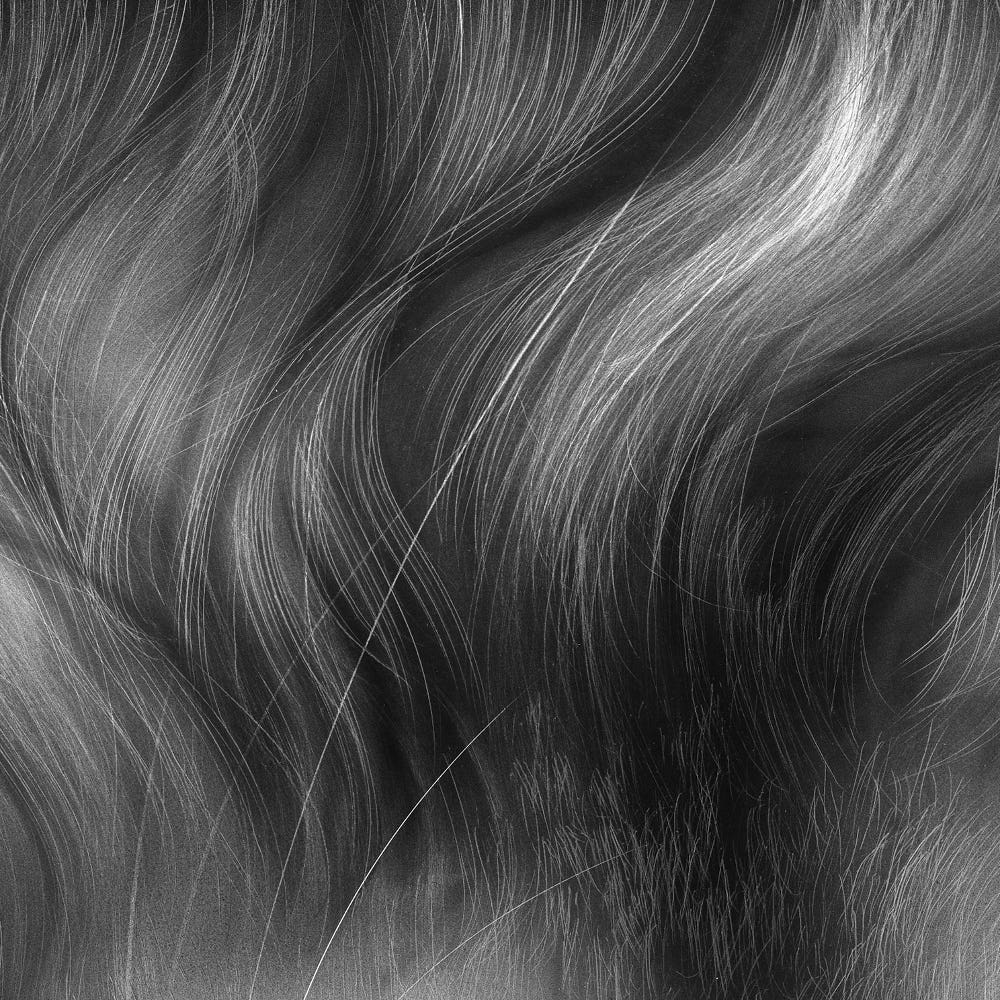 Ampersand Museum Series Scratchbord Fiber Brush