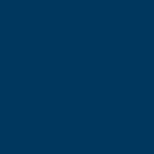 Jacquard Procion Mx Dye 19g