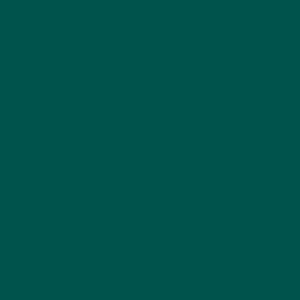 Lefranc & Bourgeois Flashe Vinyl Paints 125ml