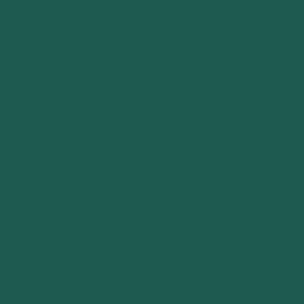 Jacquard Procion Mx Dye 19g