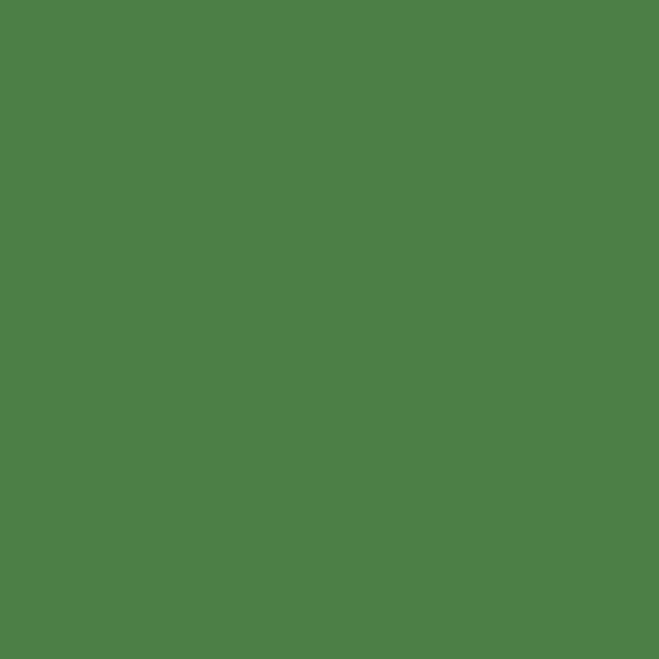 Reeves Fine Artist Oil Paints 50ml