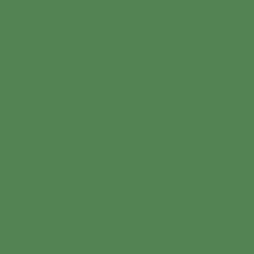 Reeves Fine Artist Oil Paints 50ml