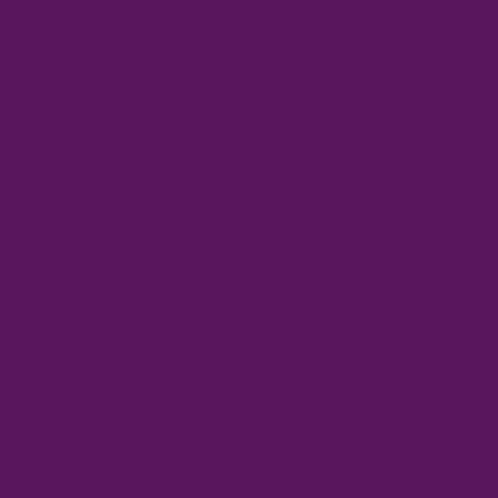 Jacquard iDye Fabric Dyes 14g