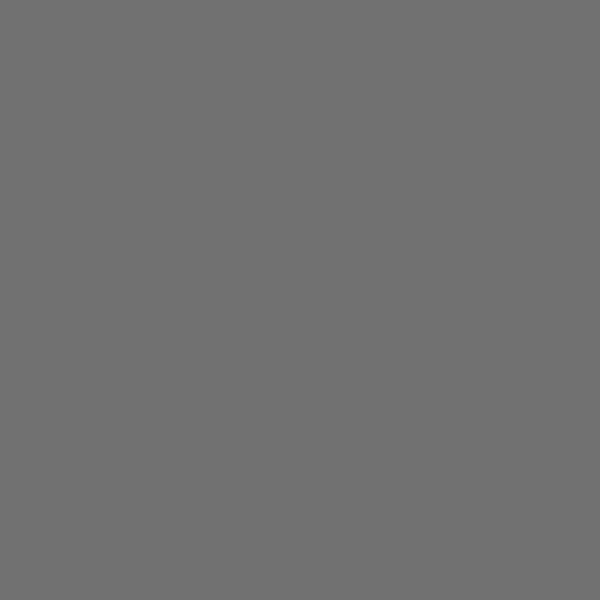 Lefranc & Bourgeois Flashe Vinyl Paints 125ml