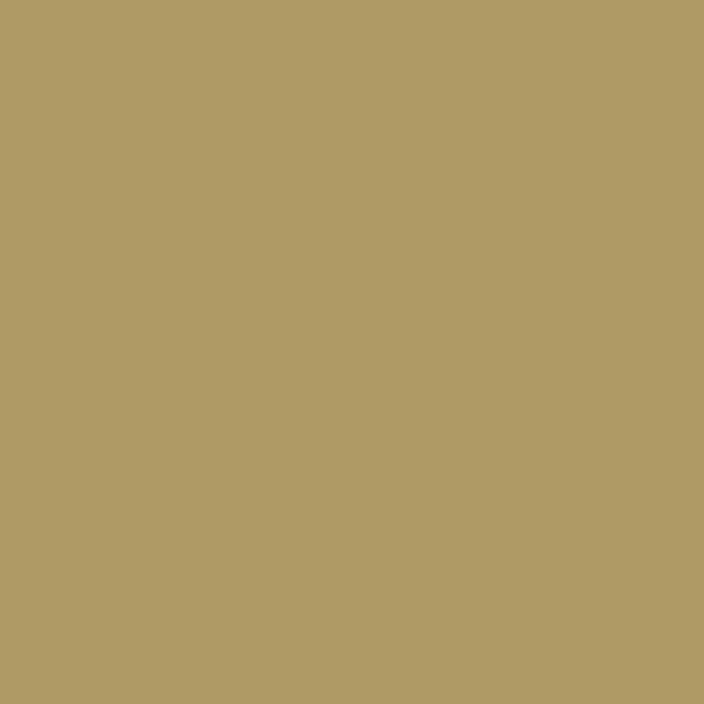 Jo Sonja's Background Acrylic Paints 250ml