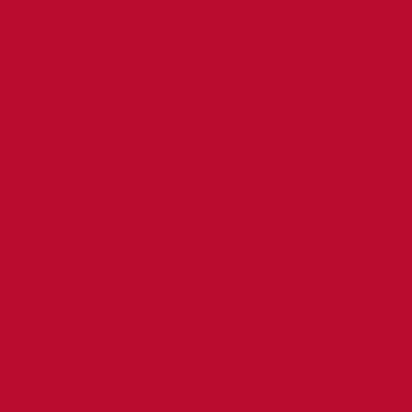 Lefranc & Bourgeois Flashe Vinyl Paints 125ml