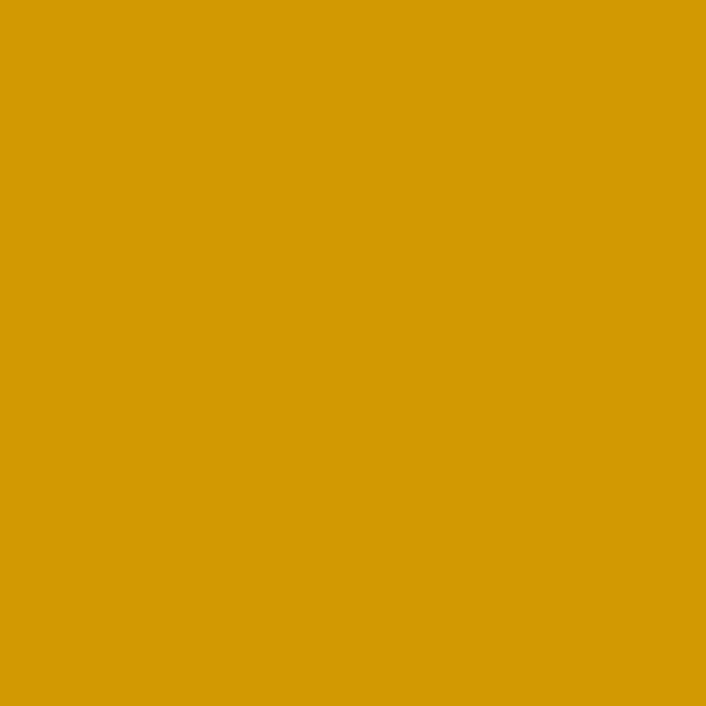 Permacrylik Acrylic Paints 1 Litre