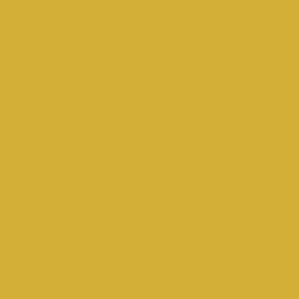 Reeves Fine Artist Oil Paints 50ml