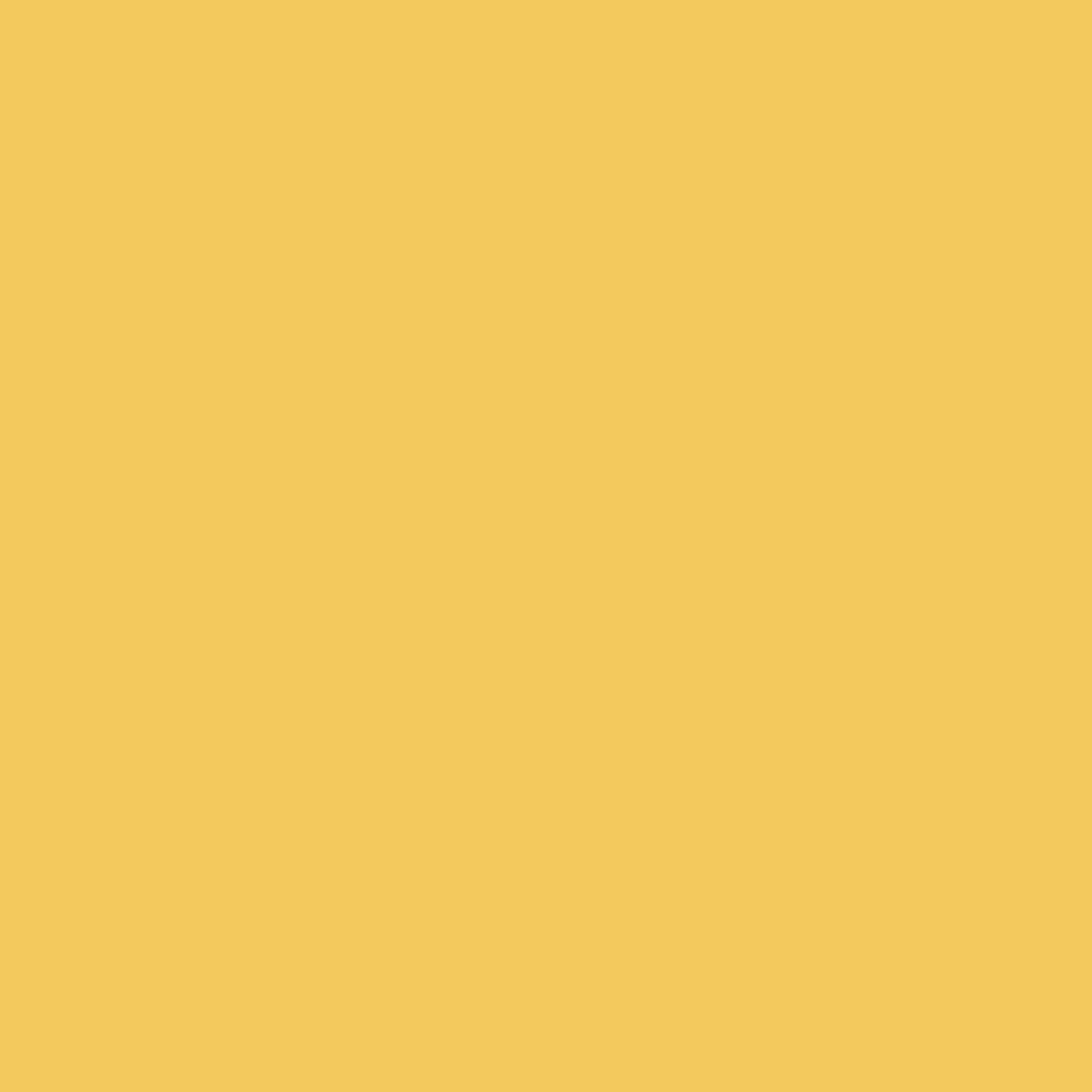 Lefranc & Bourgeois Flashe Vinyl Paints 125ml