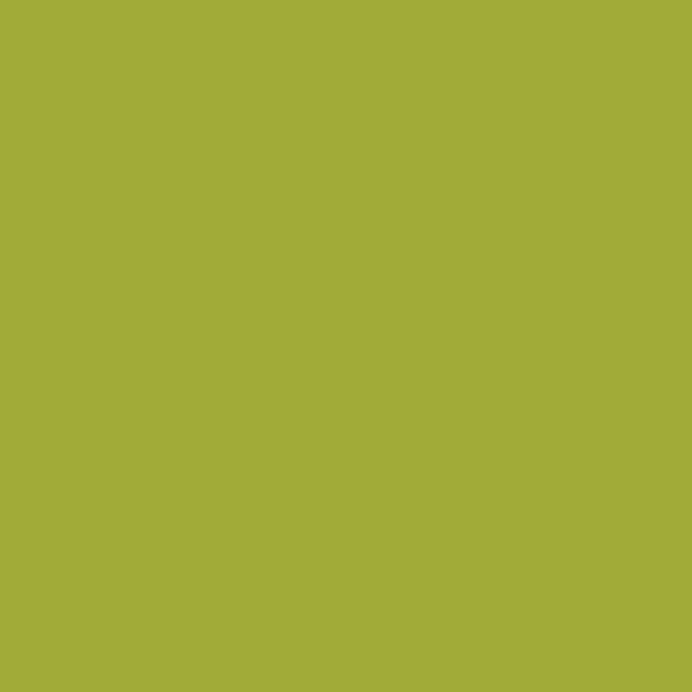 Pebeo Vitrail Decorative Paints 45ml