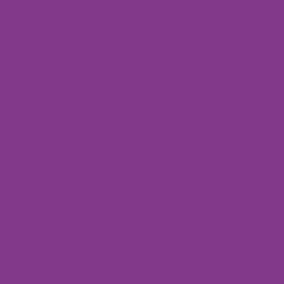 Daler Rowney FW Acrylic Inks 29.5ml