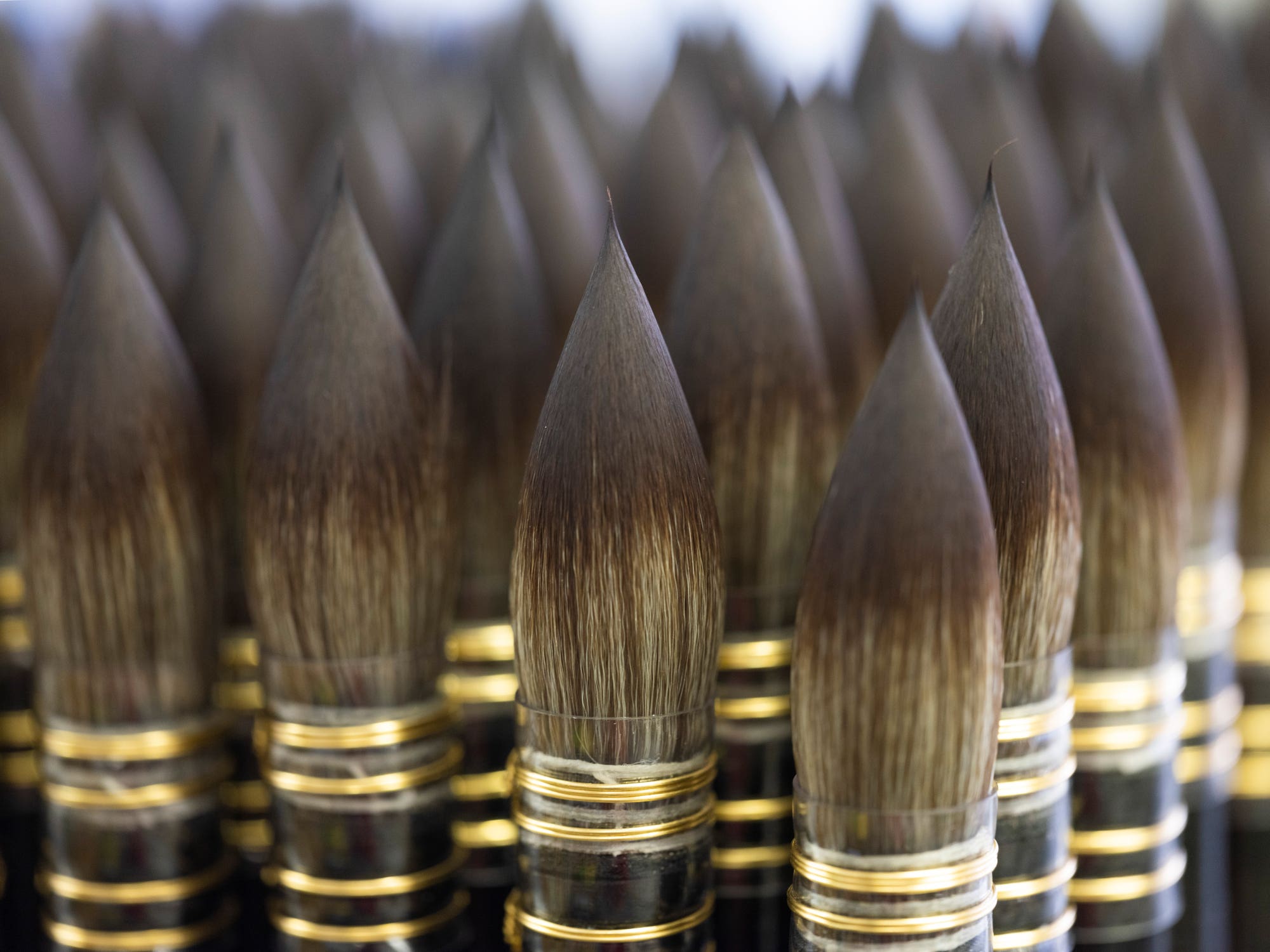 Da Vinci Casaneo 498 Synthetic Wash Brushes