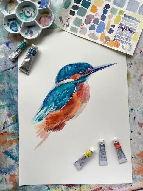 Winsor & Newton Professional Watercolour Paints 14ml