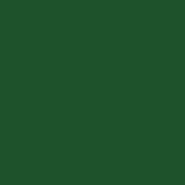 FolkArt Multi-Surface Satin Acrylic Paints 59ml