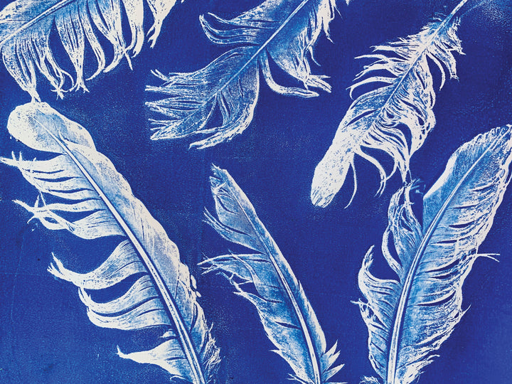 Gelli Arts Gel Printing Plates Classpack