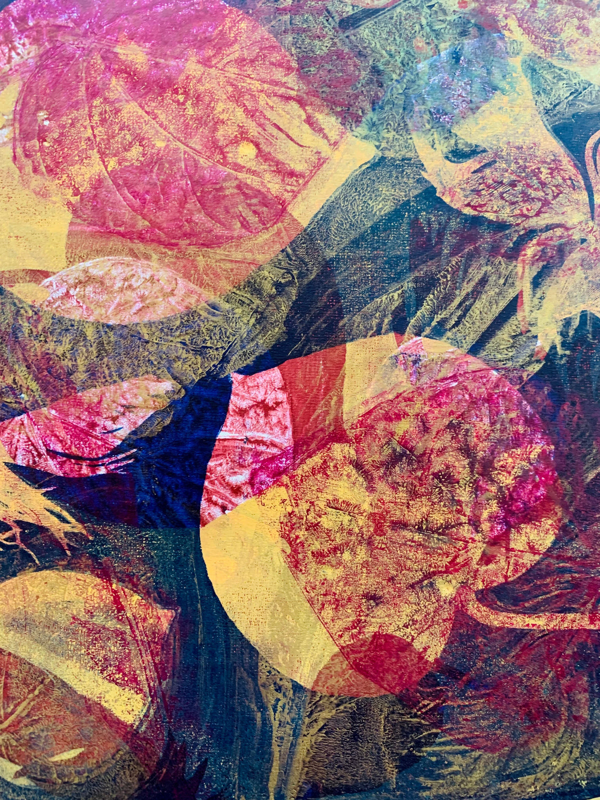 Gelli Arts Gel Printing Plates Classpack