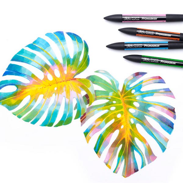 Winsor & Newton ProMarker Sets of 12