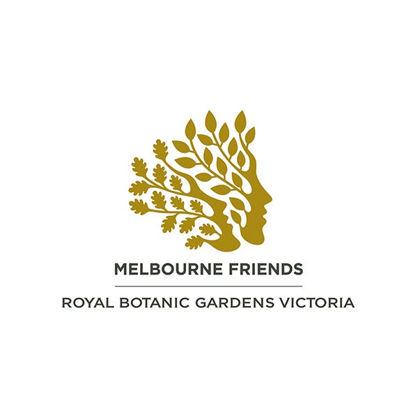 Friends Of The Royal Botanic Gardens Beginners Art Kit