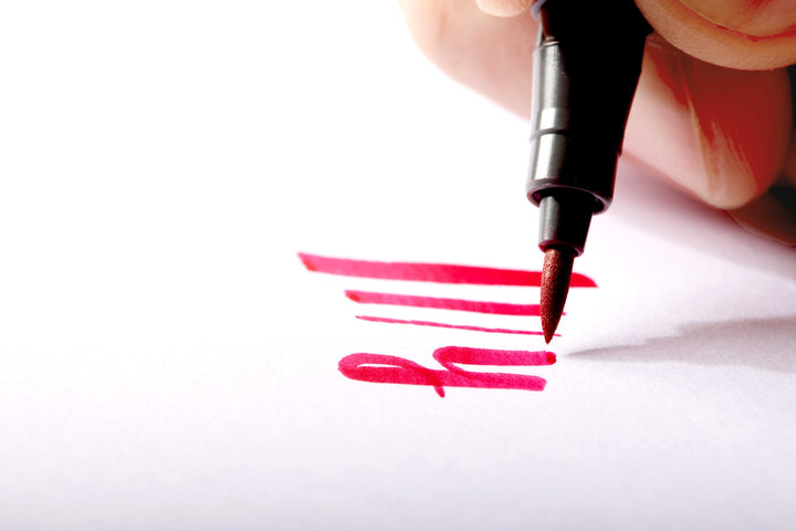 STAEDTLER Pigment Arts Brush Pens