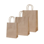 Twisted Handle Kraft Bags