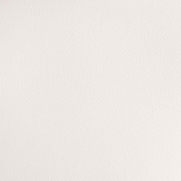 Winsor & Newton Cotman Watercolour Paint Half Pans