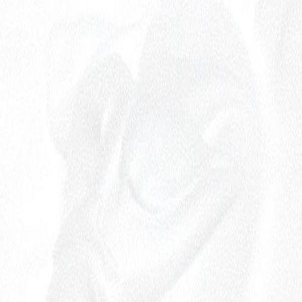 PERMASET SUPERCOVER Inks 4 Litre