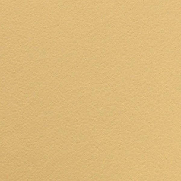 Art Spectrum Colourfix Original Pastel Paper 500 x 700mm